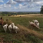 De Miavoye Calme Nature Chaleur Vue * Onhaye