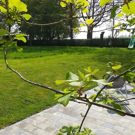 De Miavoye Calme Nature Chaleur Vue Dom wakacyjny Onhaye