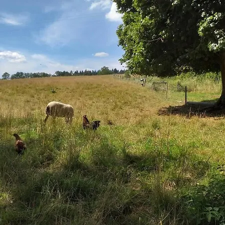 De Miavoye Calme Nature Chaleur Vue Onhaye