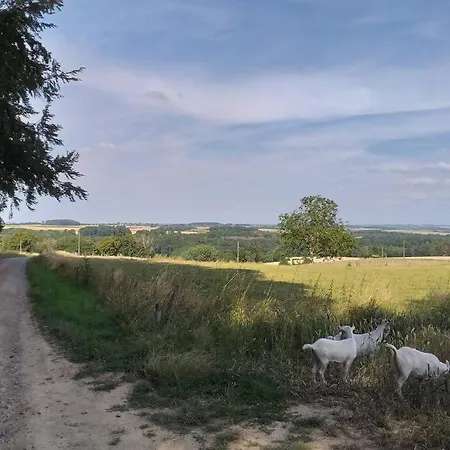 Holiday home De Miavoye Calme Nature Chaleur Vue *