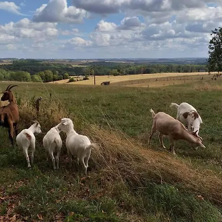 De Miavoye Calme Nature Chaleur Vue * Onhaye
