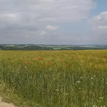 De Miavoye Calme Nature Chaleur Vue Дом отдыха